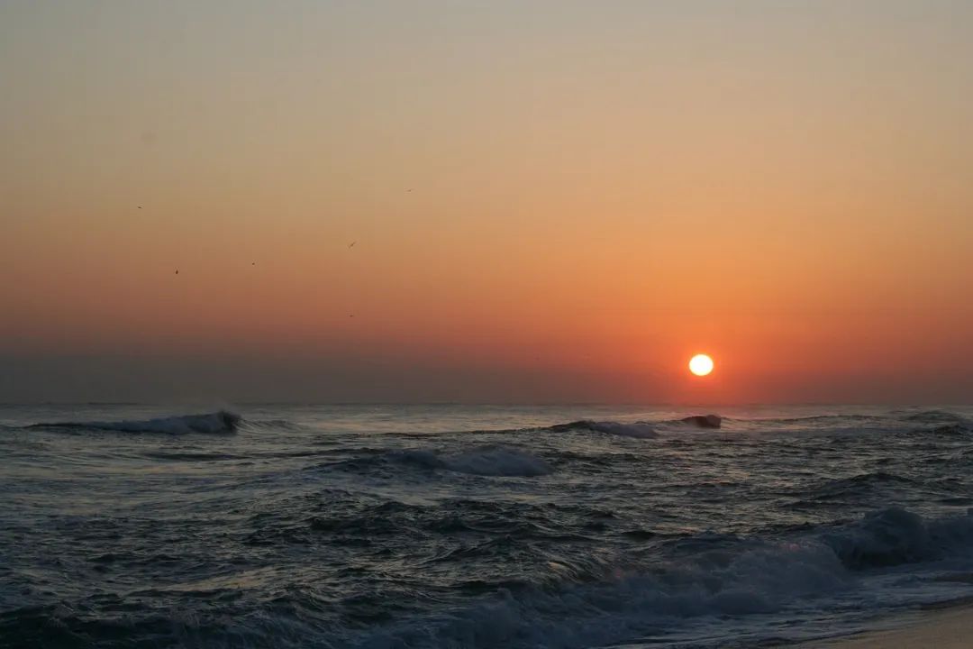 （图源：pixabay）