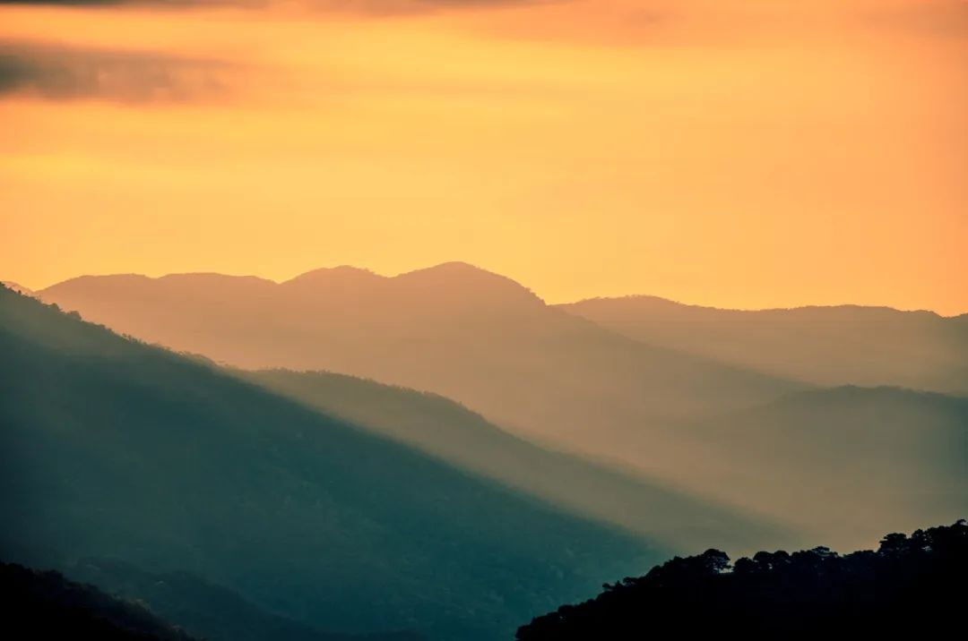 （图源：pixabay）